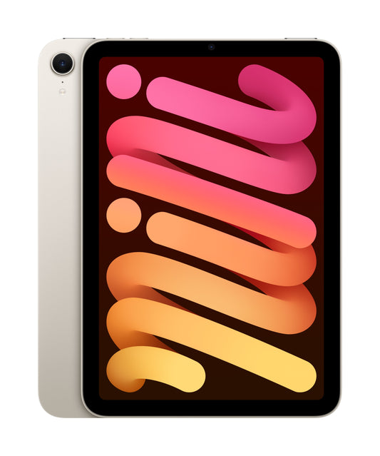 iPad Mini